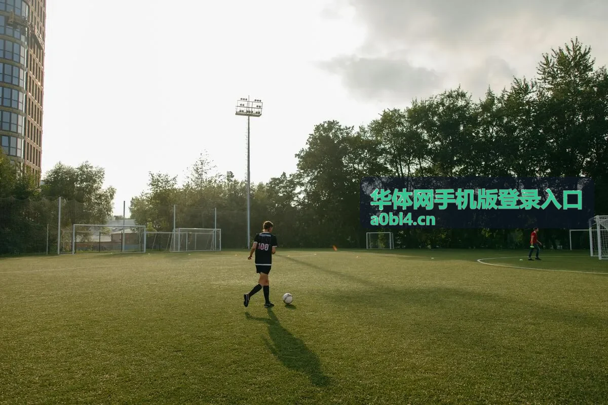 华体网手机版登录入口页面访问与操作流程展示