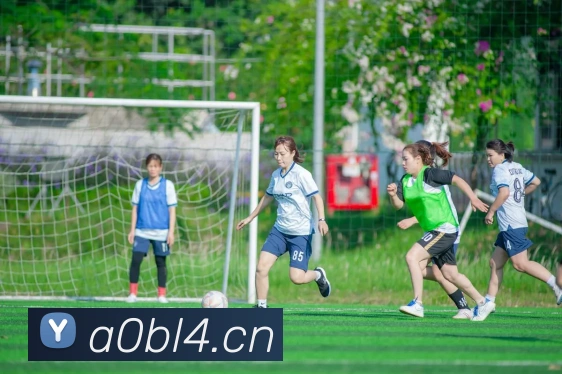 App Interface Preview