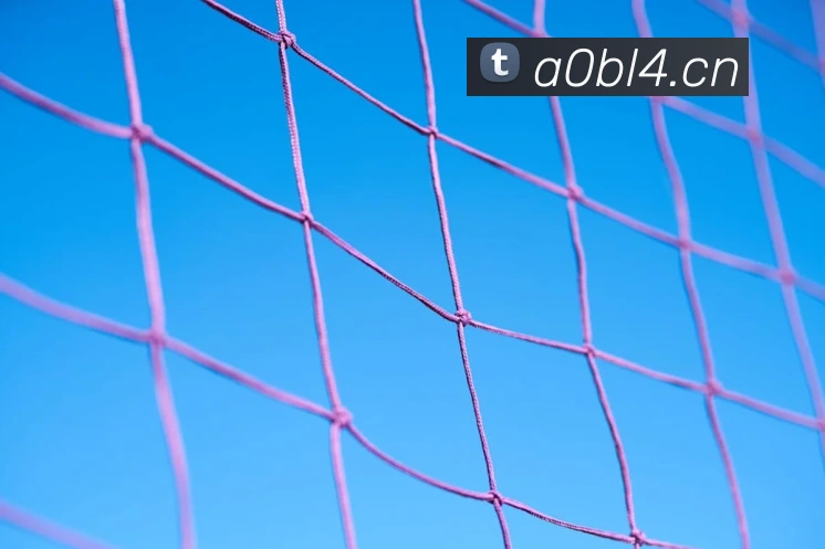 九游体育手机官网入口APP 封面图